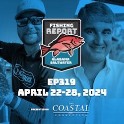 fishing on dauphin island|wave height forecast for gulf shores alabama.